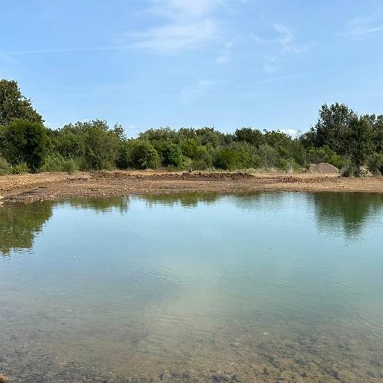 LO STAGNO