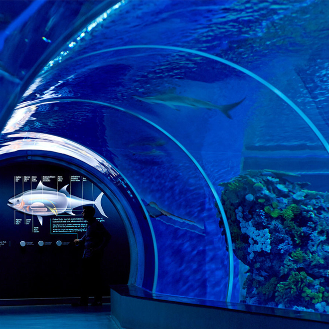 BluePlanet2.jpg