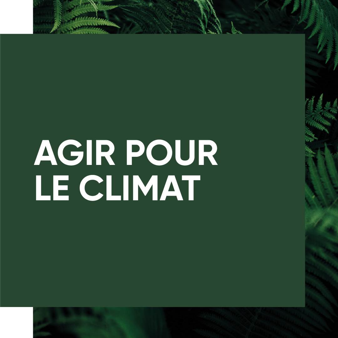 evolve_sustainability_ourimpact
