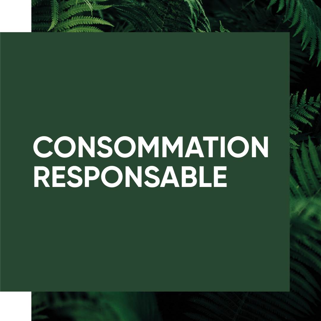 evolve_sustainability_ourimpact