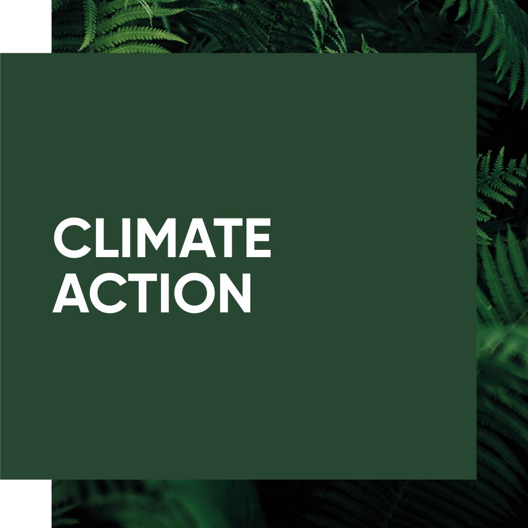 evolve_sustainability_ourimpact