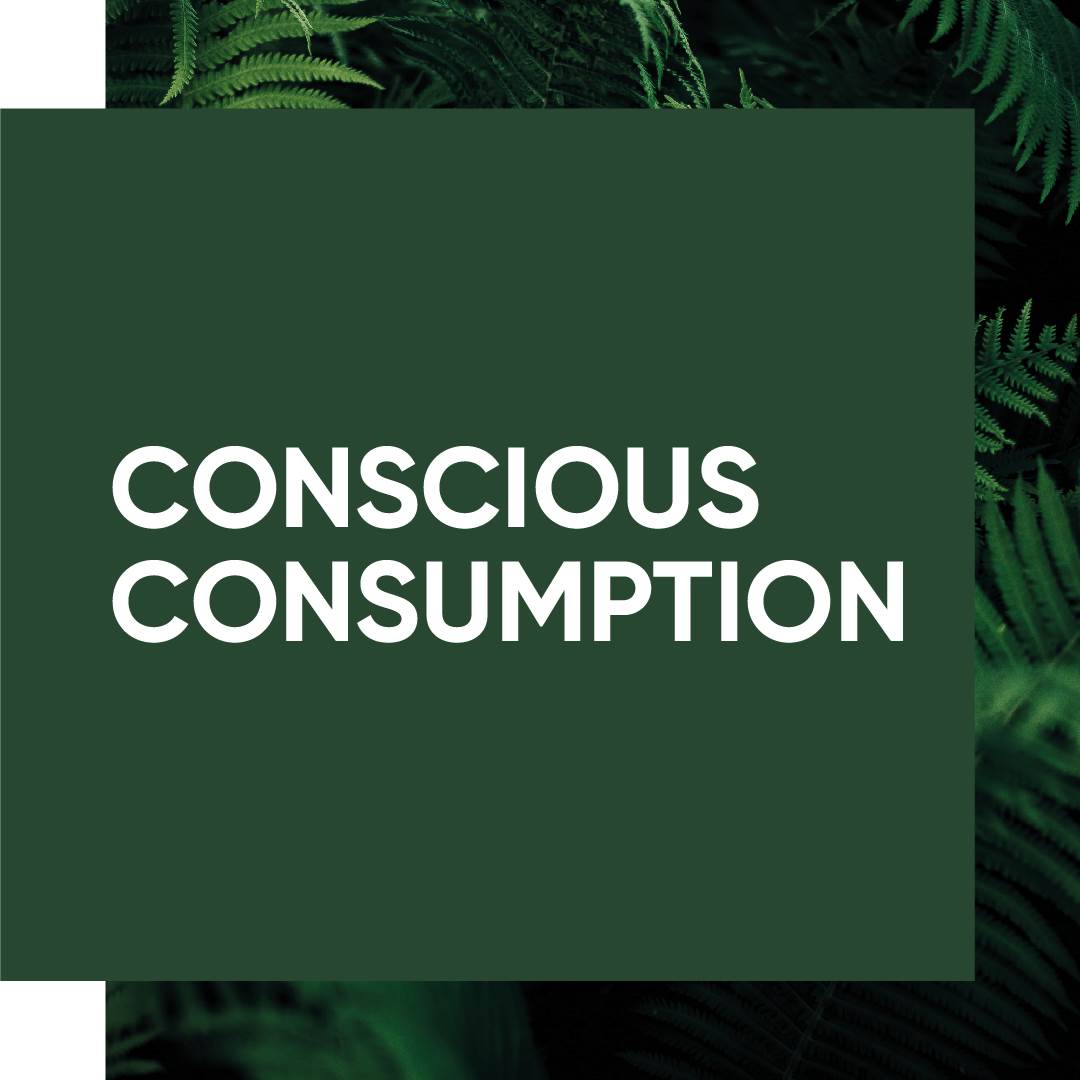 evolve_sustainability_ourimpact
