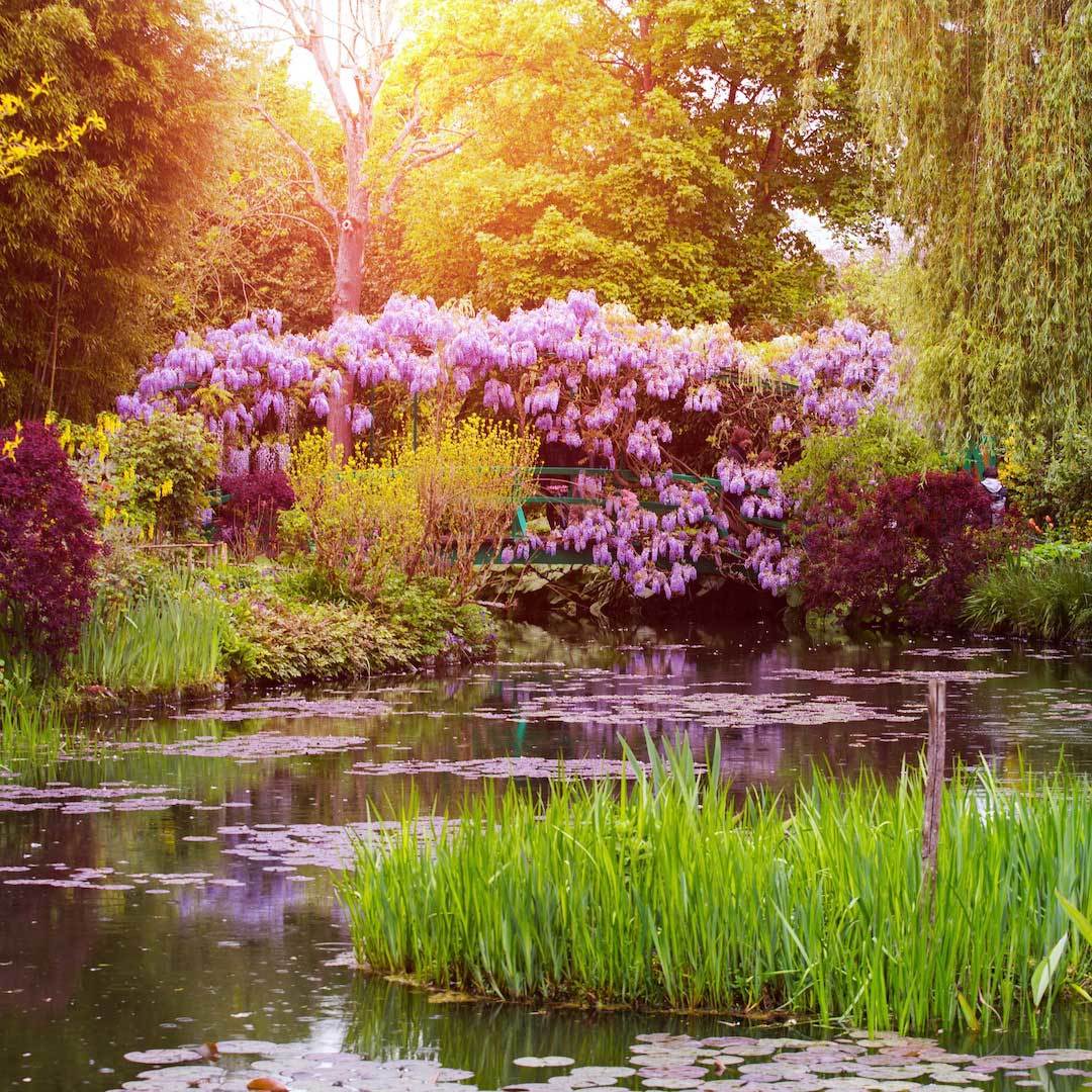 House of Monet