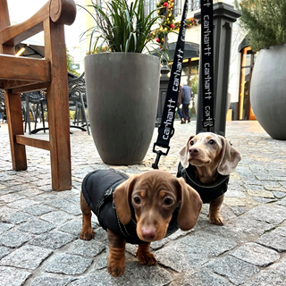 Dog Friendly Stores McArthurGlen West Midlands